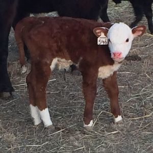 Meet your Posher, Zach